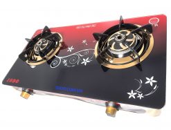 Bếp gas dương zodo ZD-V88